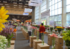 Novelties competition